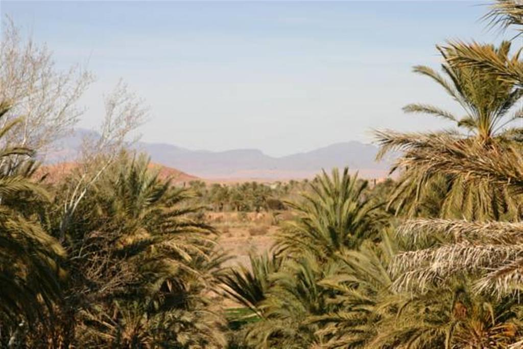 Riad Sarayas Tajda Luaran gambar