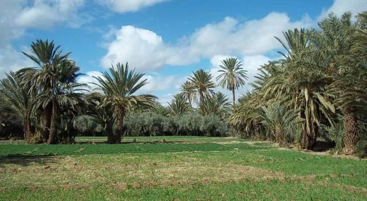 Riad Sarayas Tajda Luaran gambar