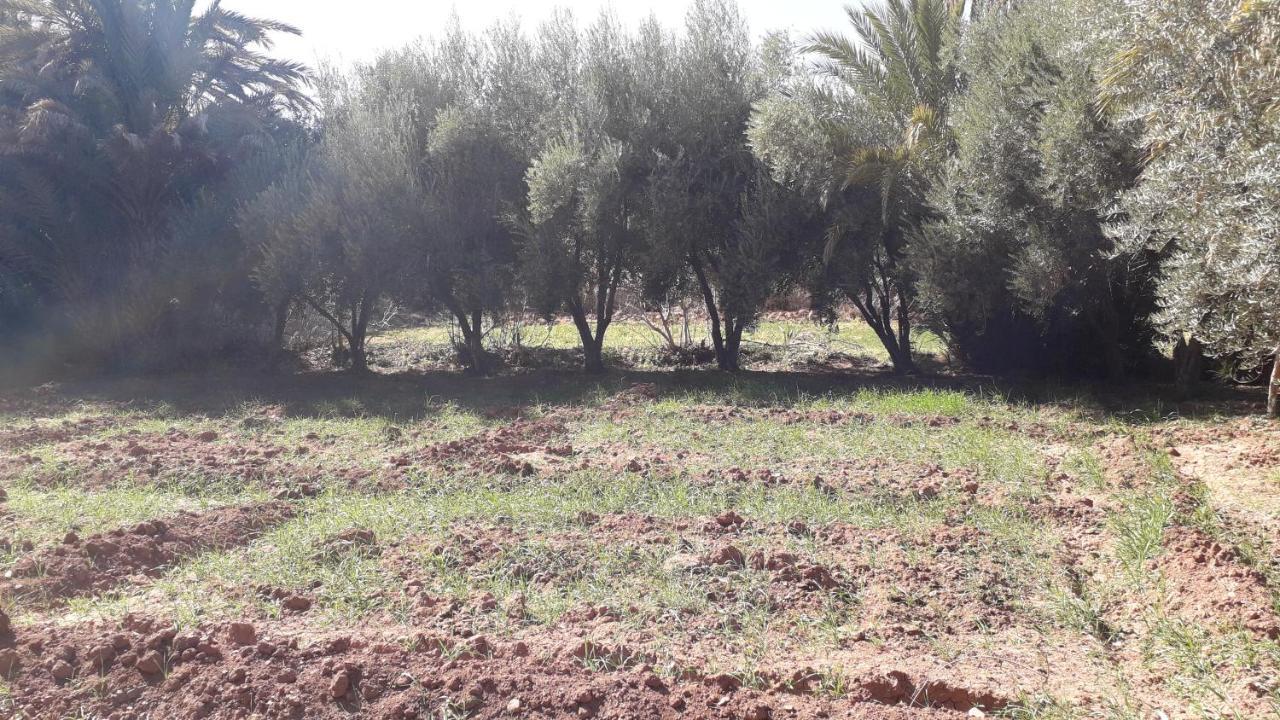 Riad Sarayas Tajda Luaran gambar