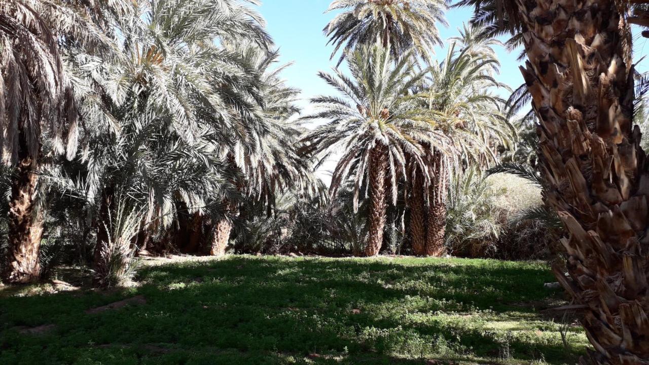 Riad Sarayas Tajda Luaran gambar
