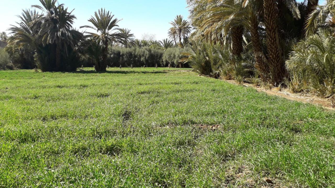 Riad Sarayas Tajda Luaran gambar
