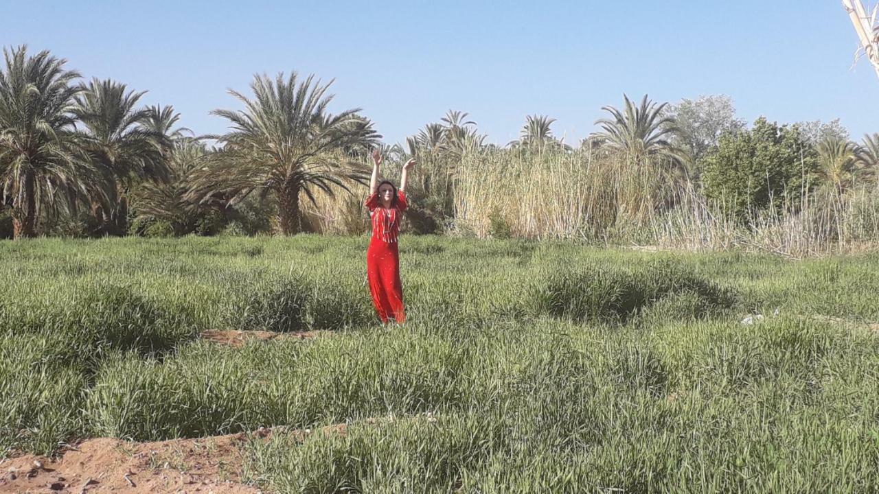 Riad Sarayas Tajda Luaran gambar